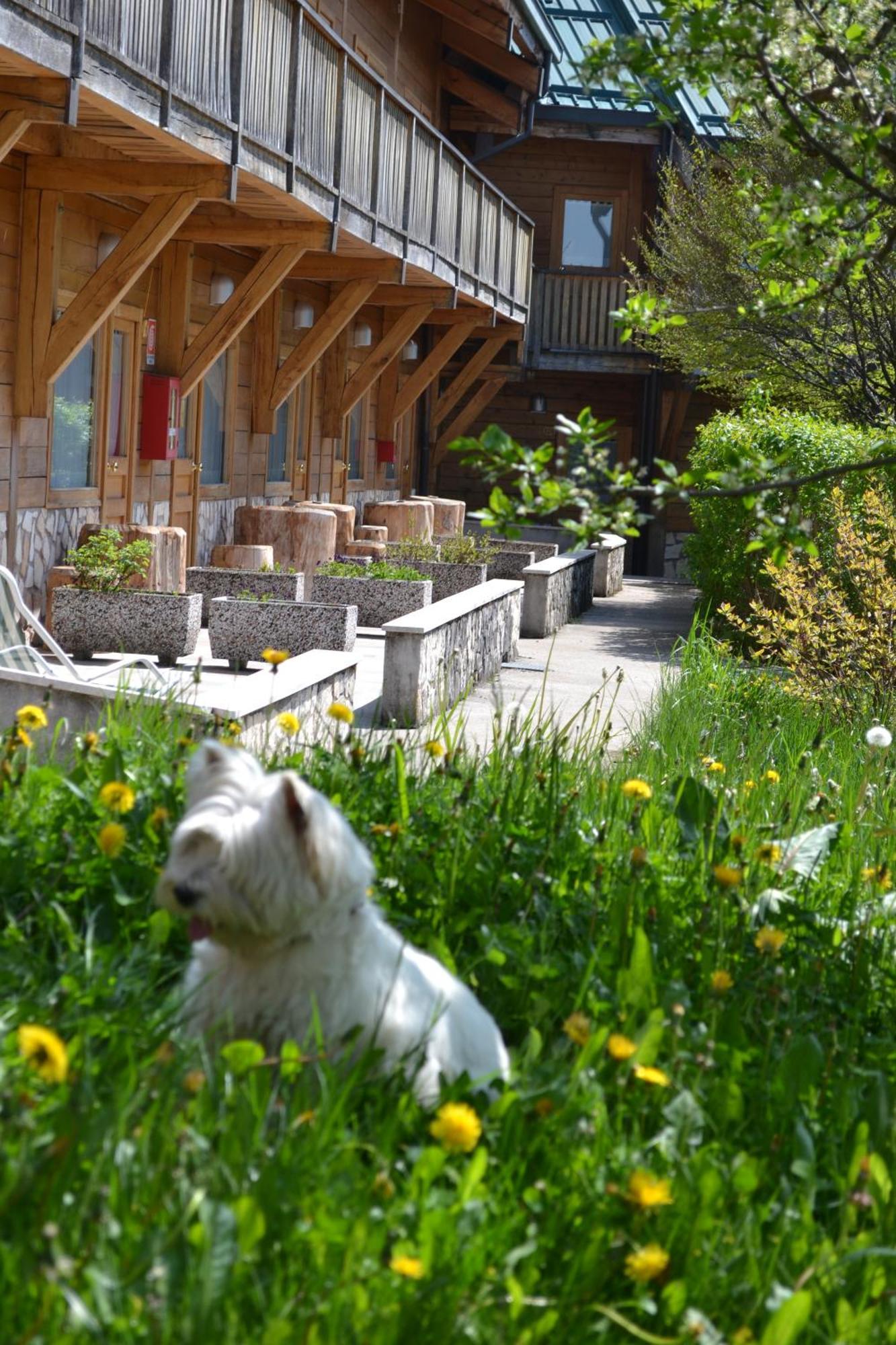 Albergo Rendola Asiago Bagian luar foto